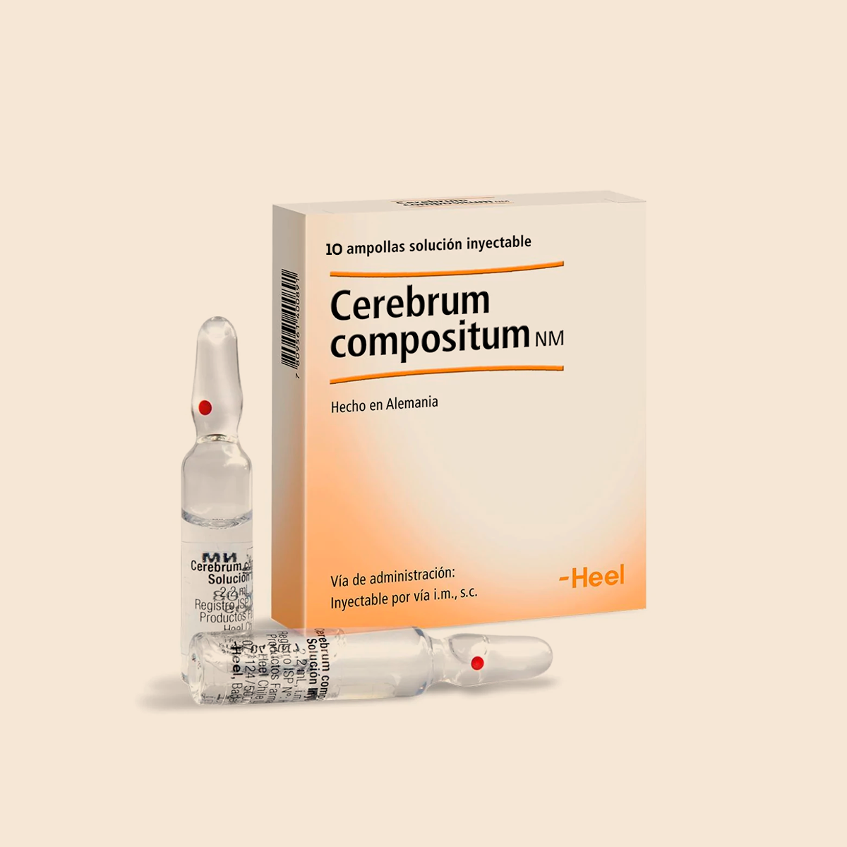 Cerebrum Compositum
